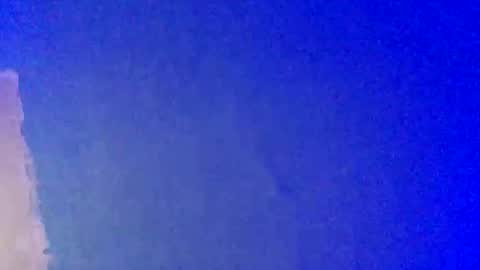 Snapshot of lickyouryoni chatting on 02.22.25 LickYourYoni online show from 02.22.25