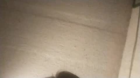 Snapshot of like2816 chatting on 02.03.25 like2816 online show from 02.03.25