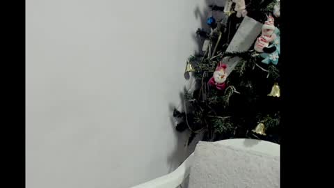 Snapshot of lizz1305 chatting on 12.26.24 lizz1305 online show from 12.26.24