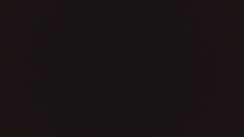 Snapshot of lnkn chatting on 03.04.25 Lnkn online show from 03.04.25