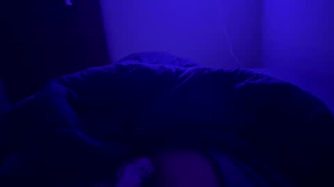 Snapshot of lomein99 chatting on 11.19.25 LoMein online show from 11.19.25