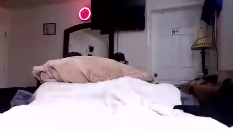 Snapshot of lookatmecum4you chatting on 10.17.25 lookatmecum4you online show from 10.17.25