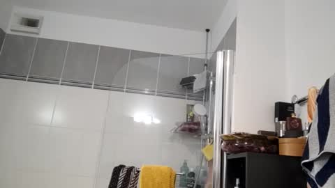 Snapshot of luluberlu042 chatting on 01.25.25 Ludo online show from 01.25.25