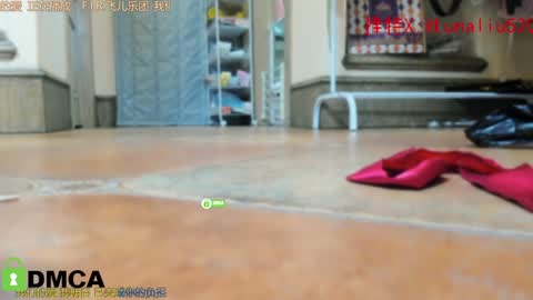 Snapshot of luna_liu520 chatting on 12.31.24 luna online show from 12.31.24