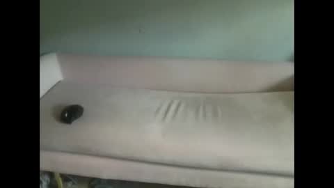 Snapshot of luvmesluts chatting on 10.06.25 luvmesluts online show from 10.06.25