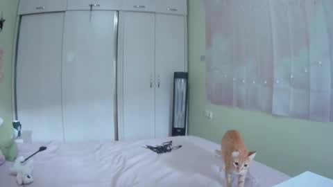 Kira online show from 10.10.25