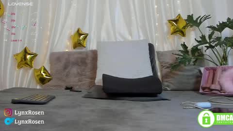 Lynx Rosen online show from 01.17.25