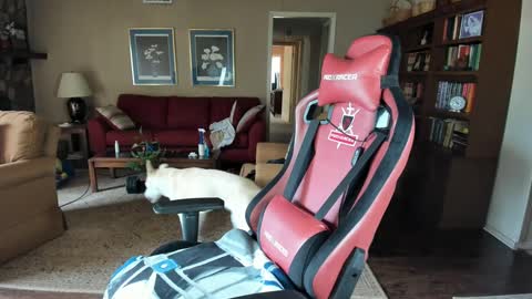 Snapshot of machinecumkelly69 chatting on 09.21.25 machinecumkelly69 online show from 09.21.25