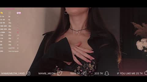 Snapshot of mamiemeow chatting on 01.29.25 Your Miss Alice online show from 01.29.25