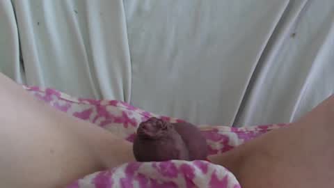 Snapshot of manclitpatsy chatting on 02.22.25 .. .. online show from 02.22.25