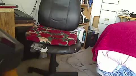 Snapshot of mariosexybros chatting on 01.01.25 MarioDavidAndybros online show from 01.01.25