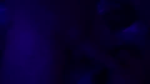 Snapshot of mattb427 chatting on 11.10.25 SilverFox online show from 11.10.25