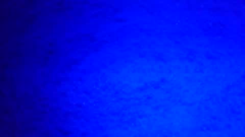 Snapshot of mauriciano2018 chatting on 12.29.24 Ignacio online show from 12.29.24