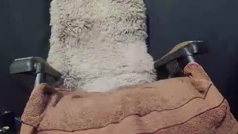 Max online show from 01.08.25