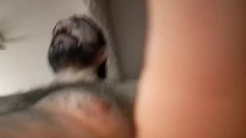 Snapshot of michael666c chatting on 02.27.25 michael666c online show from 02.27.25