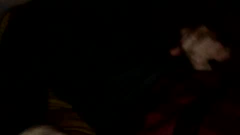 Snapshot of midiin chatting on 12.10.24 midiin online show from 12.10.24