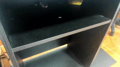 Snapshot of miia_taylor_1_ chatting on 02.24.25 Mia online show from 02.24.25