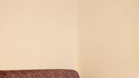 Snapshot of mila_monty__ chatting on 12.28.24     online show from 12.28.24