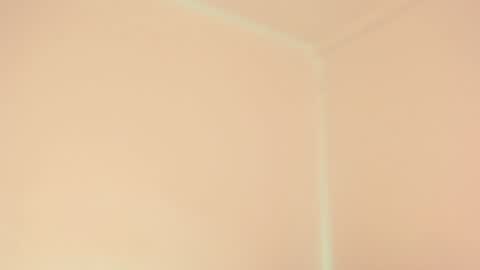 Snapshot of mila_monty__ chatting on 12.28.24     online show from 12.28.24