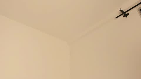 Snapshot of mila_monty__ chatting on 02.14.25     online show from 02.14.25