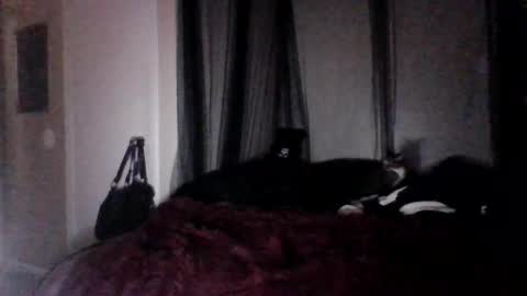 Snapshot of missgospelz_entertainmentz chatting on 02.27.25 missgospel online show from 02.27.25