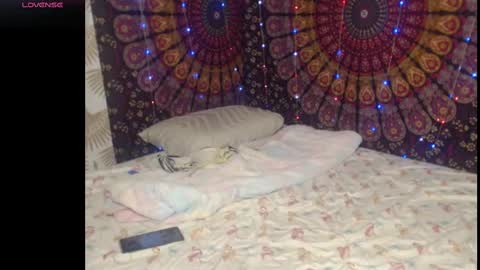 Snapshot of molli3mil3s chatting on 09.11.25 molli3mil3s online show from 09.11.25