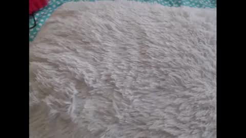 Snapshot of mollyandbra chatting on 02.06.25 Molly And Brad online show from 02.06.25