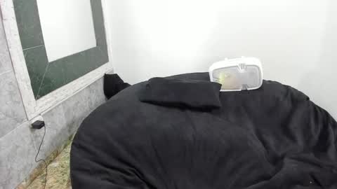 Snapshot of monkeyd_66 chatting on 02.18.25 monkeyd_66 online show from 02.18.25