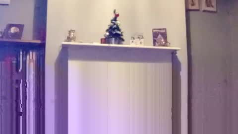 Snapshot of mr_i_ chatting on 12.17.24 mr_i_ online show from 12.17.24