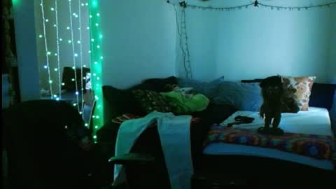 Snapshot of mycock4u247 chatting on 02.16.25 LA MARIPOSA DE MARICOPA online show from 02.16.25