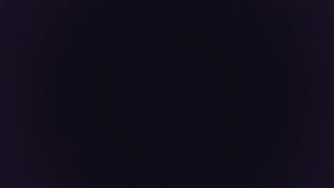 Snapshot of mysterymonkey1234 chatting on 01.11.25 MysteryMonkey online show from 01.11.25