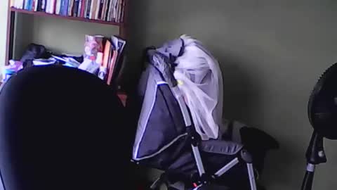 Snapshot of nana_666_ chatting on 11.17.25 nana_666_ online show from 11.17.25