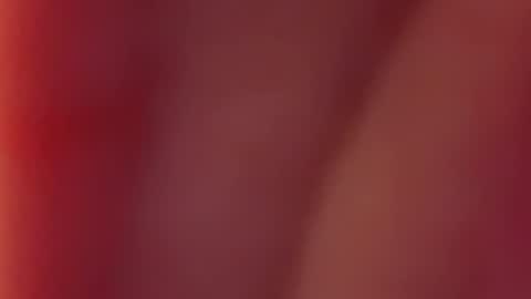 Snapshot of nancy_witch chatting on 12.12.24 Nancy and Archi online show from 12.12.24