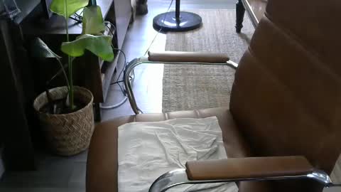 Snapshot of nareth338 chatting on 09.19.25 nareth338 online show from 09.19.25