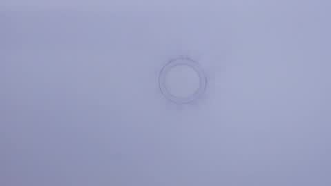 Snapshot of nastasha_nasty1 chatting on 02.03.25 Maira online show from 02.03.25