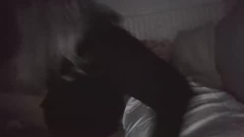 Snapshot of nchastain74 chatting on 01.30.25 wetnikki6590 online show from 01.30.25