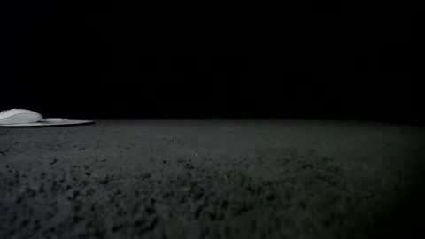 Snapshot of nikkkibabyyyy chatting on 01.24.25 Niquita Sparkles online show from 01.24.25