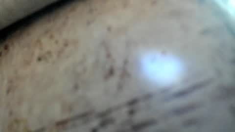 Snapshot of noah_happy07 chatting on 01.29.25 Noah online show from 01.29.25