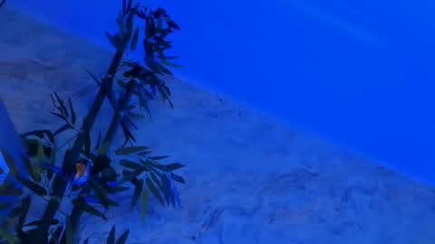 Snapshot of nyssawoodd chatting on 10.02.25 nyssawoodd online show from 10.02.25