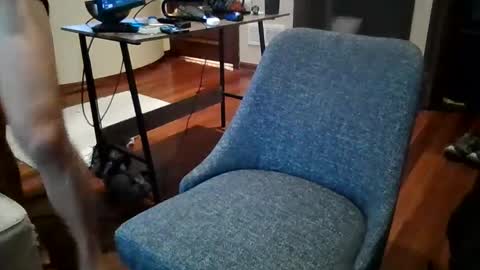 Snapshot of octobersky1993 chatting on 12.20.24 Sky online show from 12.20.24