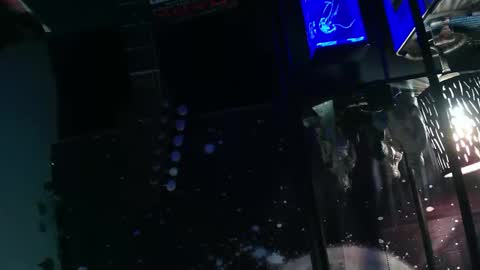 Snapshot of oheyhun chatting on 11.08.25 oheyhun online show from 11.08.25