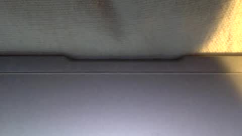 Snapshot of ottodick chatting on 01.21.25 Otto online show from 01.21.25