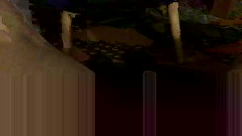 Snapshot of oxo285 chatting on 10.31.25 Oxo online show from 10.31.25