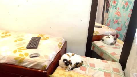 Snapshot of pamela_vasquez chatting on 09.13.25 diana online show from 09.13.25