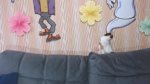 I am Lora and i am glad to see you in my room online show from 10.11.25