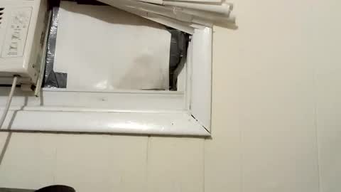 Snapshot of pato0008 chatting on 12.18.24 JD online show from 12.18.24