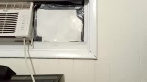 Snapshot of pato0008 chatting on 03.01.25 JD online show from 03.01.25