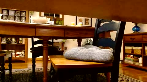 Snapshot of peecocktail chatting on 10.13.25 peecocktail online show from 10.13.25