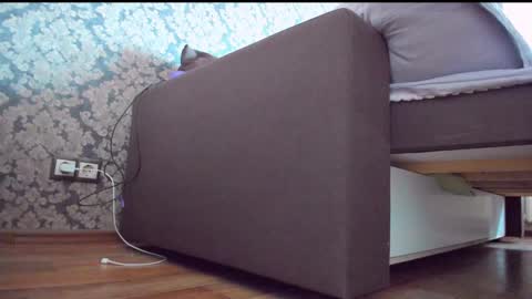 Snapshot of perfectdate chatting on 12.10.24 Anna online show from 12.10.24