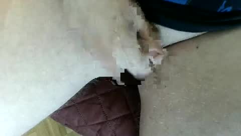 Snapshot of pippo2704 chatting on 01.26.25 pippo online show from 01.26.25